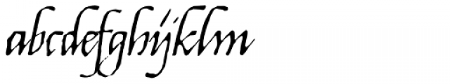 1540 Mercator Script Normal