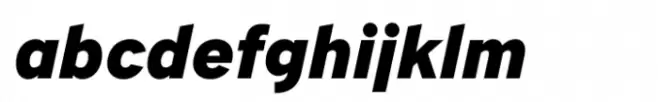 Academy Sans Std Black Italic