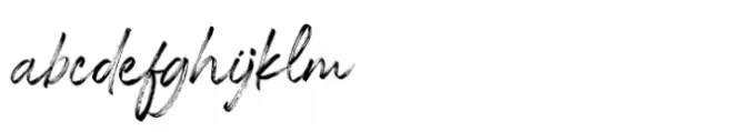 Al Badlooking Brush Regular