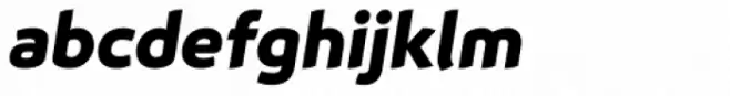 Animo Black Italic
