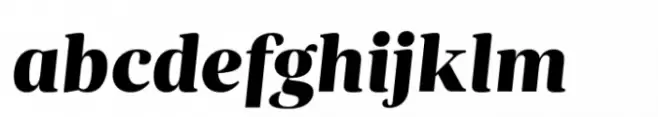 Ardina Text Black Italic