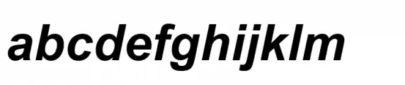 Arial Paneuropean Bold Italic