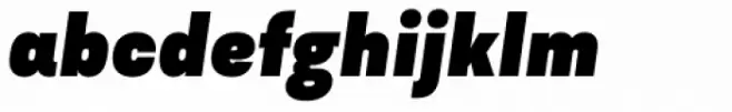 Asket Narrow Black Italic