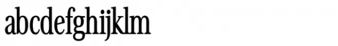 Avantime Narrow Bold