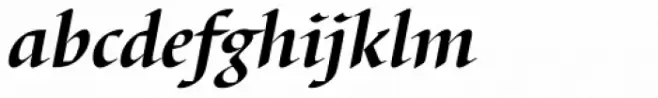 Barbedor Bold Italic