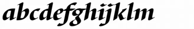 Barbedor EF Black Italic