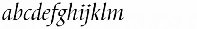 Barbedor EF Italic