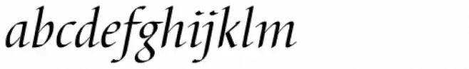 Barbedor Italic