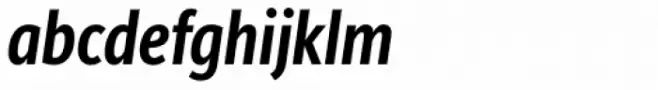 Bartholeme Sans ExtraBold Italic