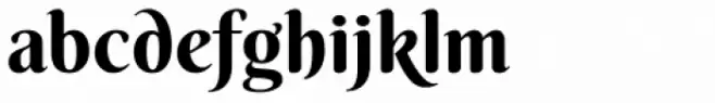 Berkshire Pro Swash