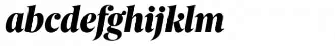 Berlingske Serif Condensed Std Extrabold Italic