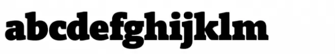 Berlingske Slab Std Poster