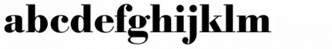 Bodoni TS Bold