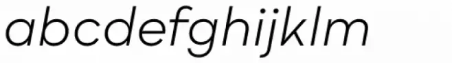Bozon Book Italic