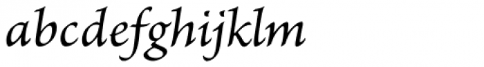 Brioso Pro Caption Italic