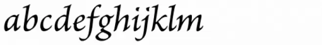 Brioso Pro Caption Italic