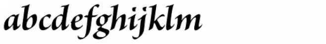 Brioso Pro SubHead Bold Italic