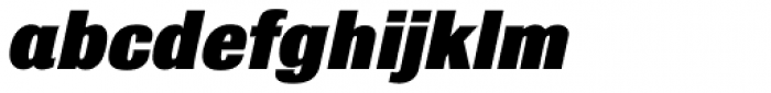 Bulldog Black Italic