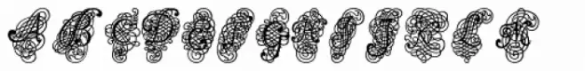 Calligraphia Latina Dense