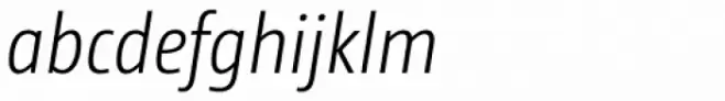 CamingoDos Condensed Light Italic