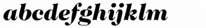 Caslon 224 Black Italic