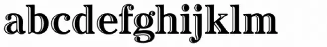 Cheltenham Handtooled Std Bold