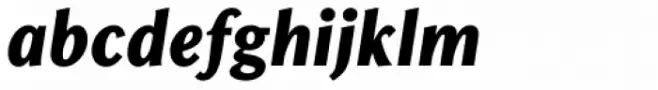 Chong Old Style Std ExtraBold Italic