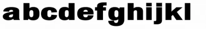 Chubbet Distended Bold