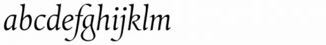 Combi Italic Light