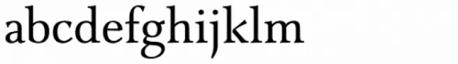 Combi Serif Book
