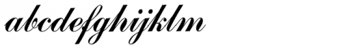 Commercial Script SH Reg