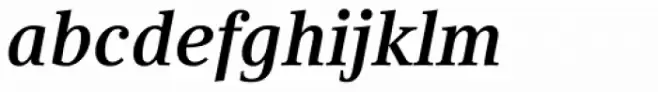 Compatil Text Pro Bold Italic