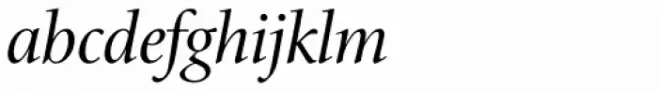 Cycles Twentyfour Italic OS