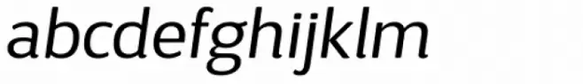 D Sari Book Italic