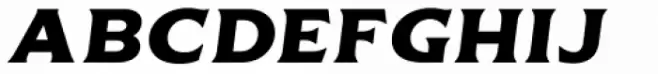 Delighter Script Bold Oblique Tracked