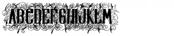 Display Of Character Illuminated BOLD