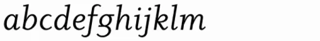 Dyadis Std Book Italic