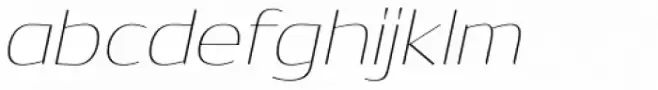 Dynasty Thin Italic
