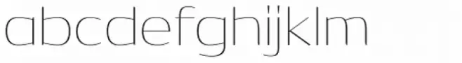 Dynasty Thin