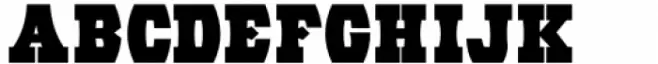 Eccentric Wood Type JNL Regular