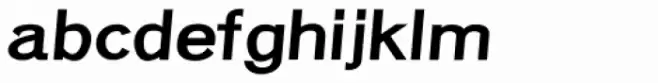 Eurydome Extended Italic Black