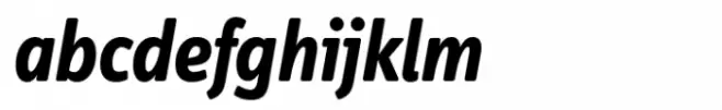 FF Info Display Bold Italic
