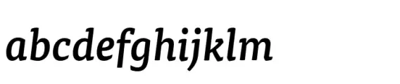 FF TisaÂ® Paneuropean Medium Italic