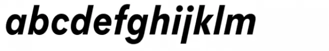 Flink Neue Cmp Bold Italic