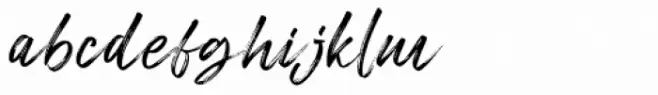 Freshline Regular