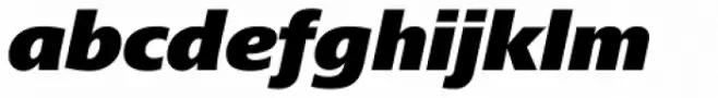 Frutiger Next Paneuropean W1G Black Italic