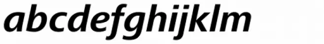 Frutiger Next Paneuropean W1G Bold Italic