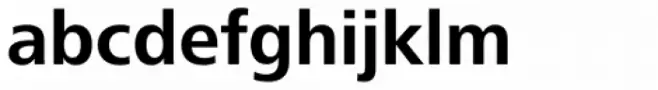 Frutiger Next Paneuropean W1G Bold