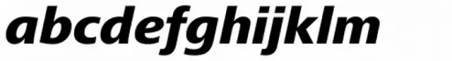 Frutiger Next Paneuropean W1G Heavy Italic