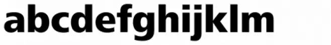 Frutiger Next Paneuropean W1G Heavy